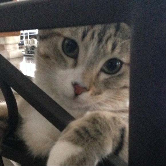 Meet your Posher, Jan - Picture 3 of 10